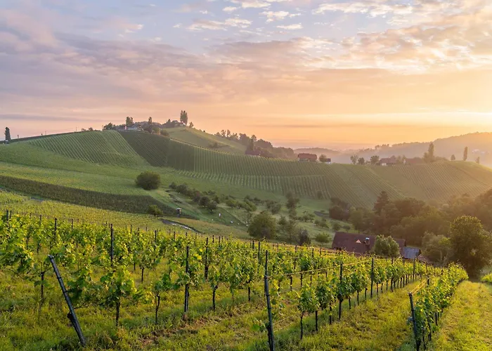 بيت للعطل Steirerblicke - Winzerhaeuser An Der Suedsteirischen Weinstrasse Glanz an der Weinstraße